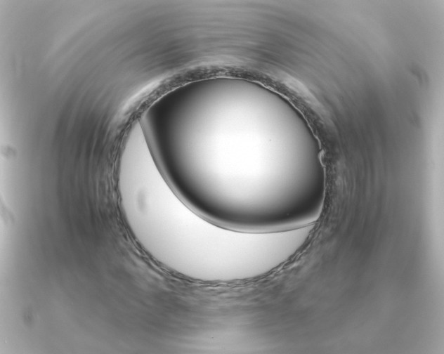 X0000091200872200708091038