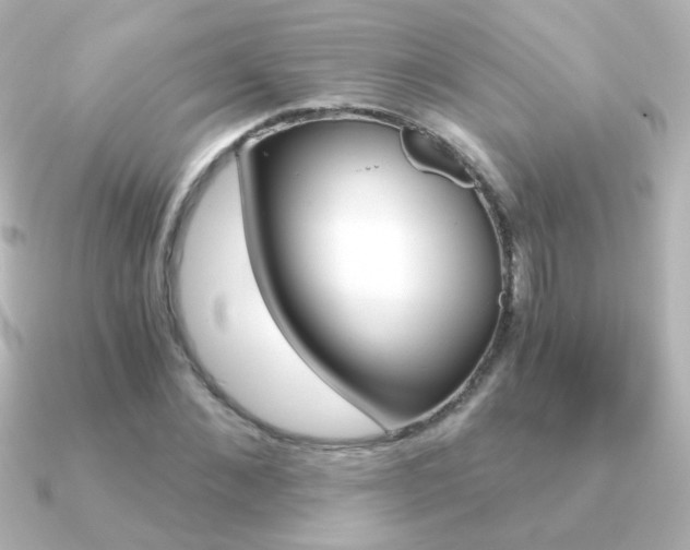 X0000091200876200708091038