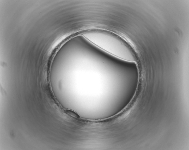 X0000091200877200708091038