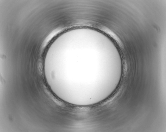 X0000091200878200708091038