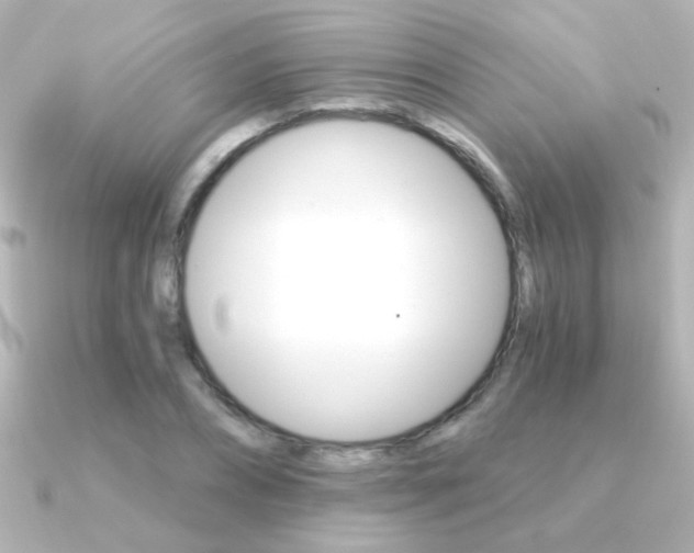 X0000091200882200708091038