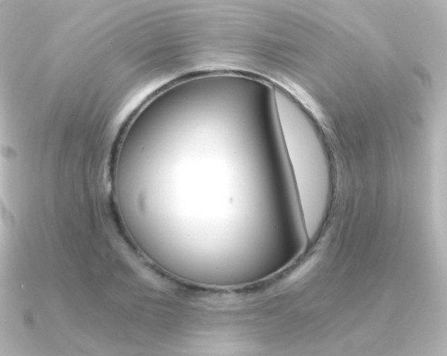 X0000091200885200708091038