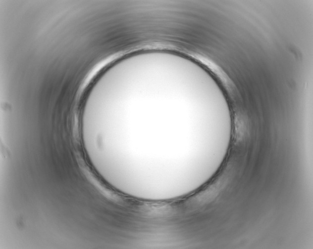 X0000091200886200708091038
