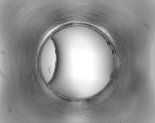 X0000091200887200708091038