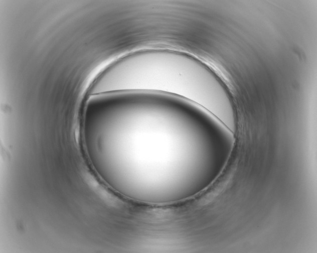 X0000091200888200708091038