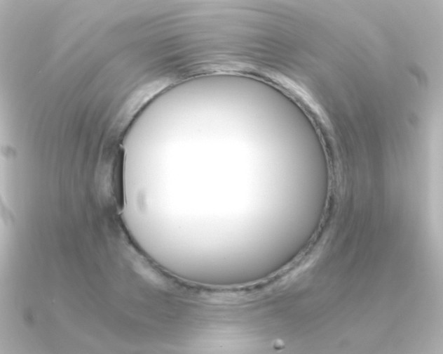 X0000091200889200708091038