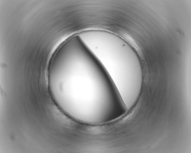 X0000091200892200708091038