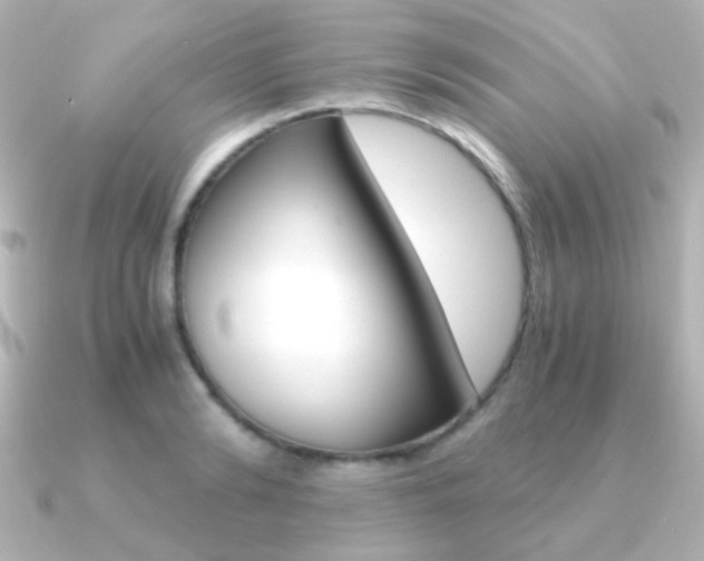 X0000091200894200708091038