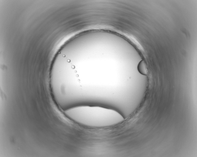 X0000091200895200708091038