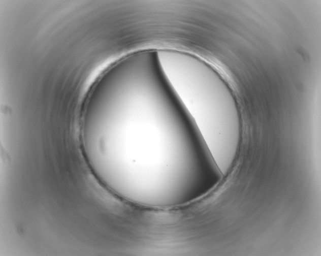 X0000091200896200708091038