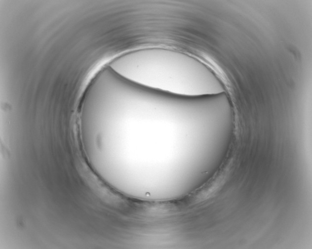 X0000091200899200708091038