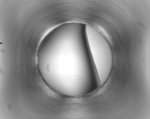 X0000091200900200708091038
