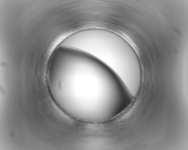 X0000091200901200708091038