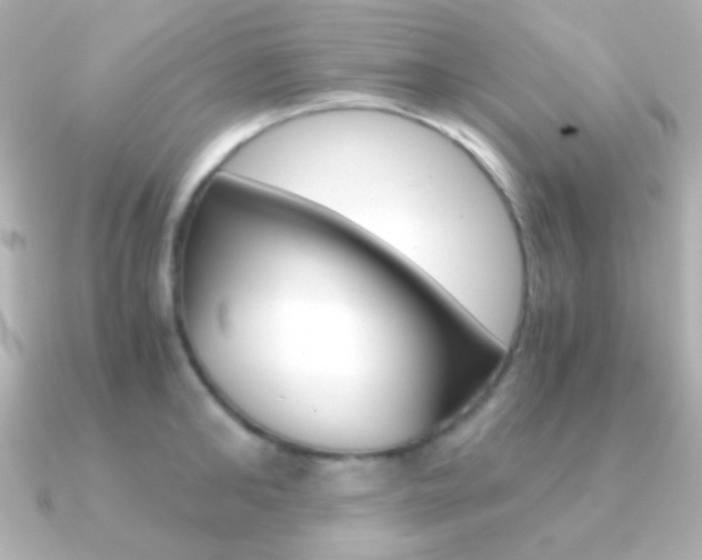 X0000091200902200708091038