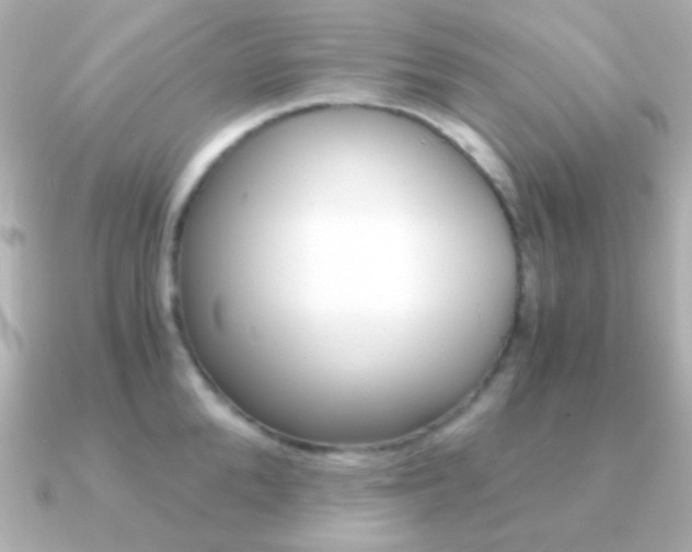X0000091200904200708091038