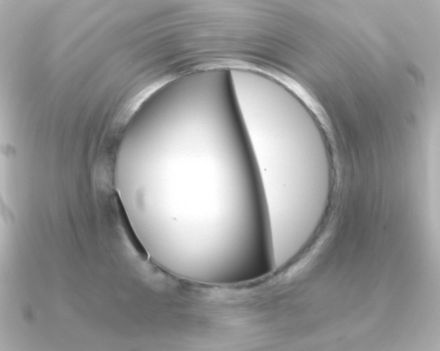 X0000091200905200708091038