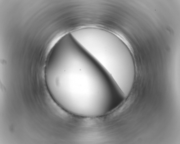 X0000091200906200708091038