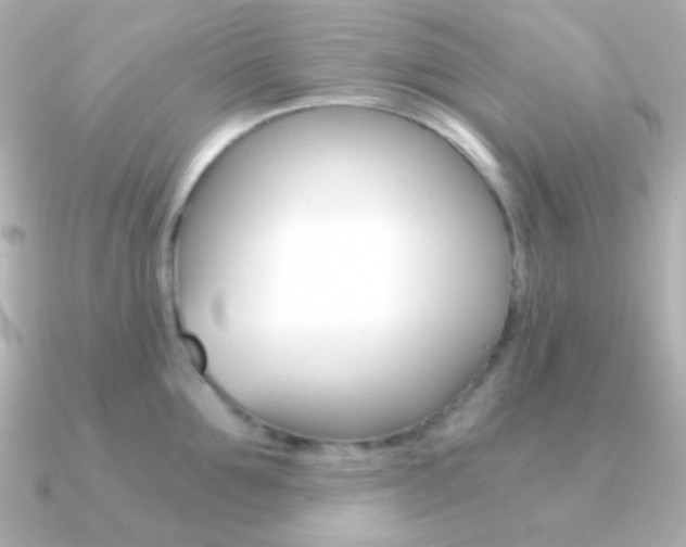 X0000091200907200708091038