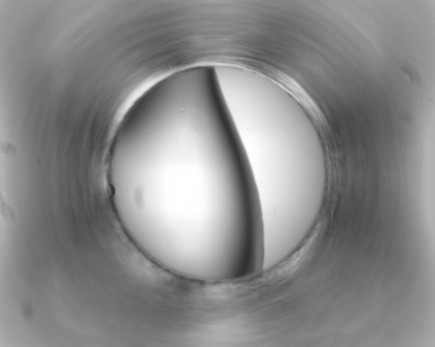 X0000091200908200708091038