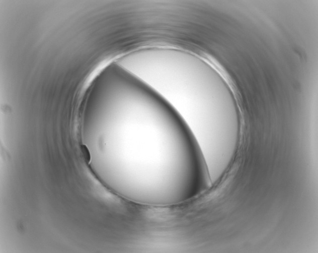 X0000091200909200708091038