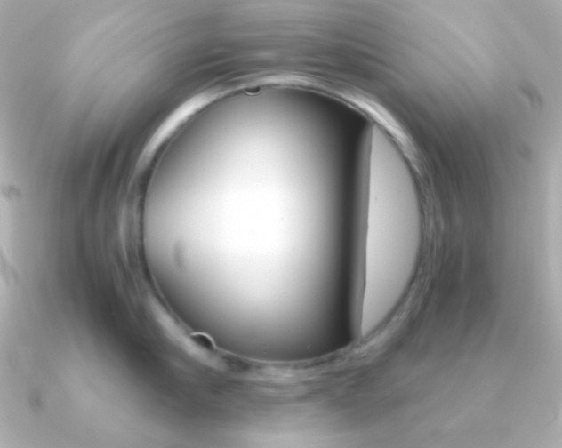 X0000091200910200708091038