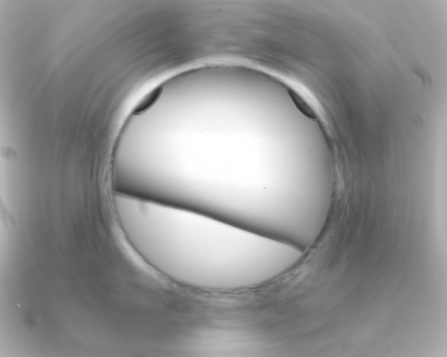 X0000091200911200708091038