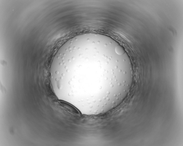 X0000091200917200708091037