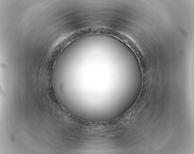 X0000091200919200708091037