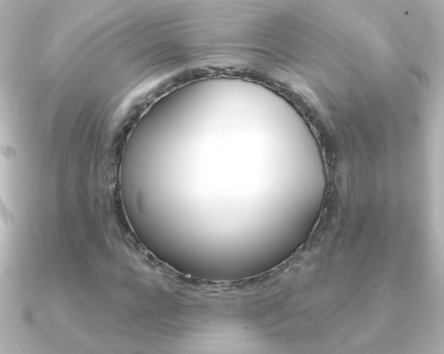 X0000091200920200708091037