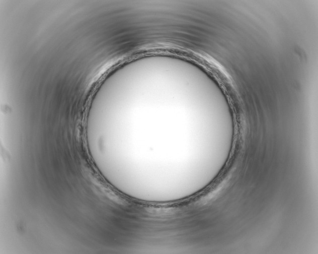X0000091200921200708091037