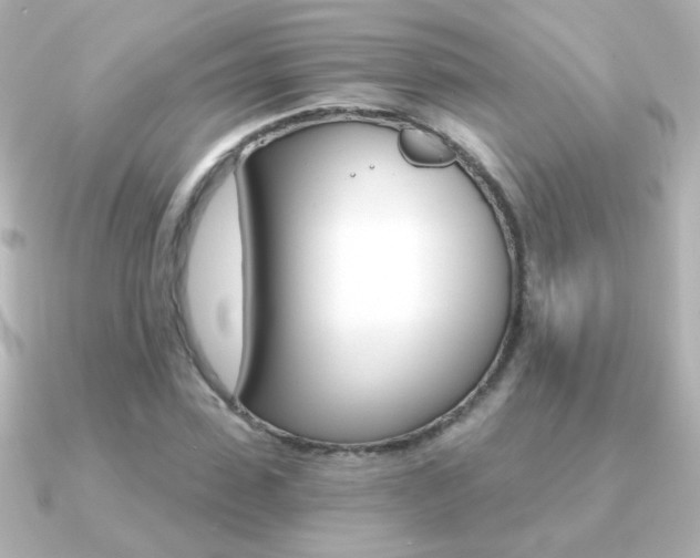 X0000091200923200708091037