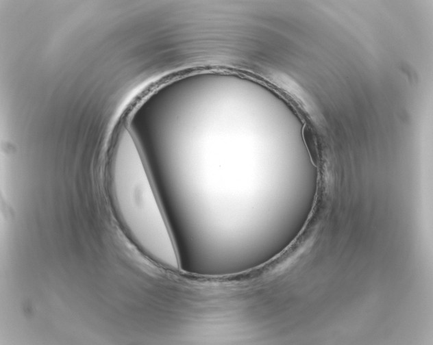 X0000091200924200708091037