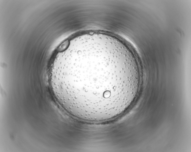 X0000091200925200708091037