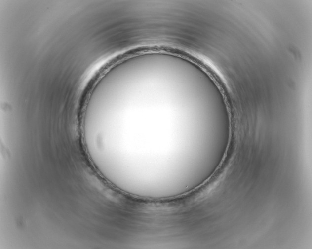 X0000091200927200708091037