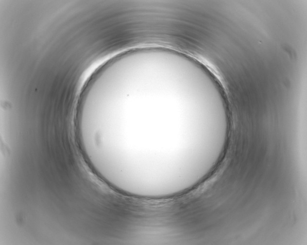 X0000091200928200708091037