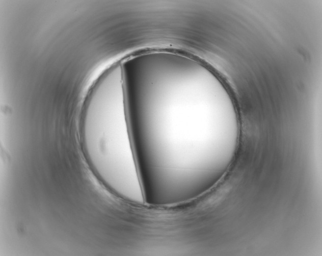 X0000091200935200708091037