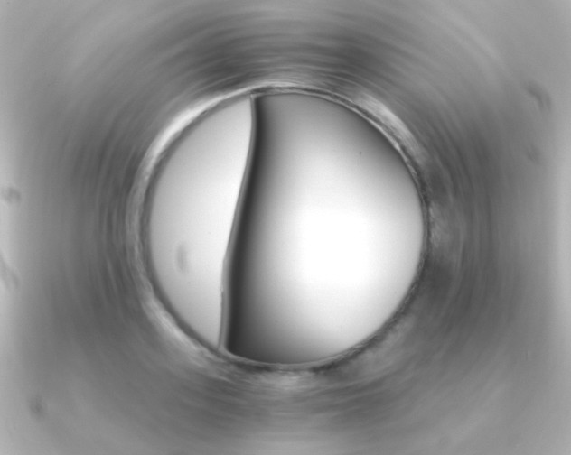 X0000091200939200708091037