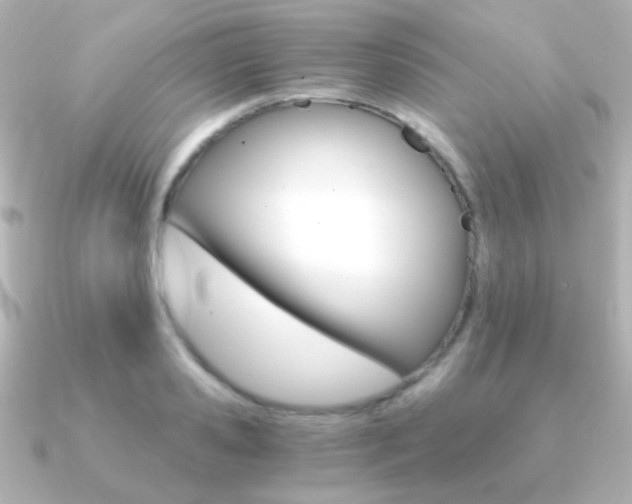 X0000091200941200708091037