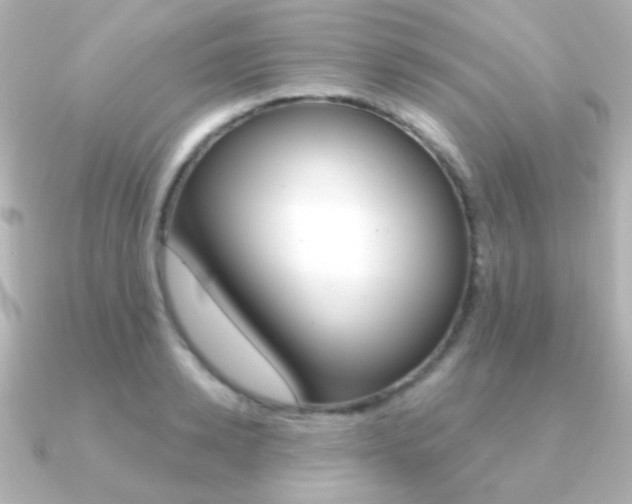 X0000091200942200708091037
