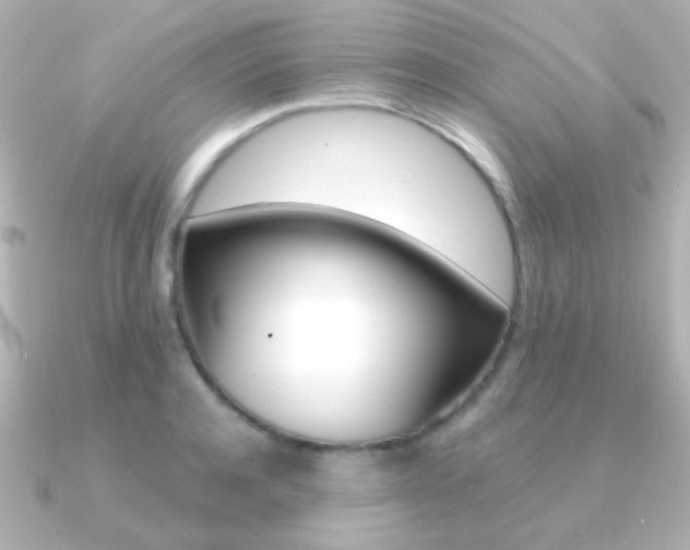 X0000091200944200708091037