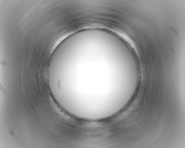 X0000091200945200708091037