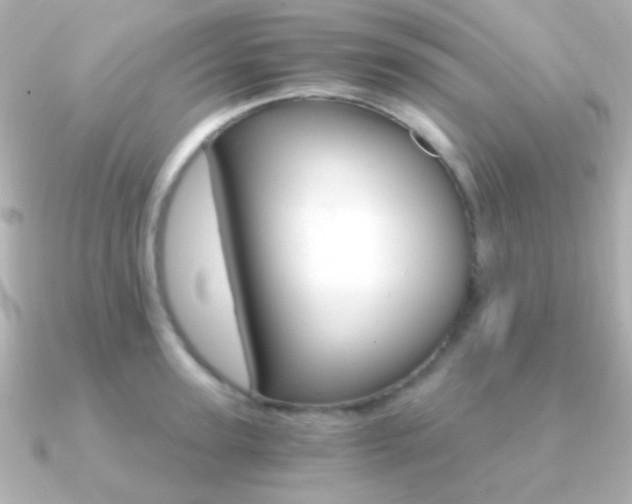X0000091200947200708091037