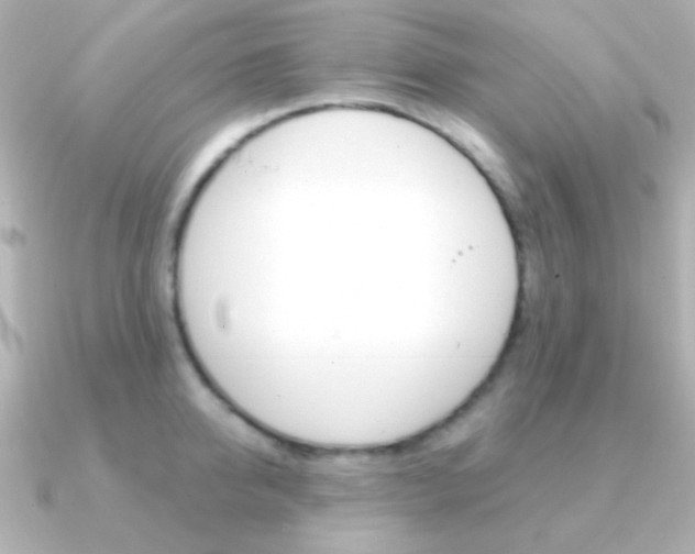 X0000091200950200708091037