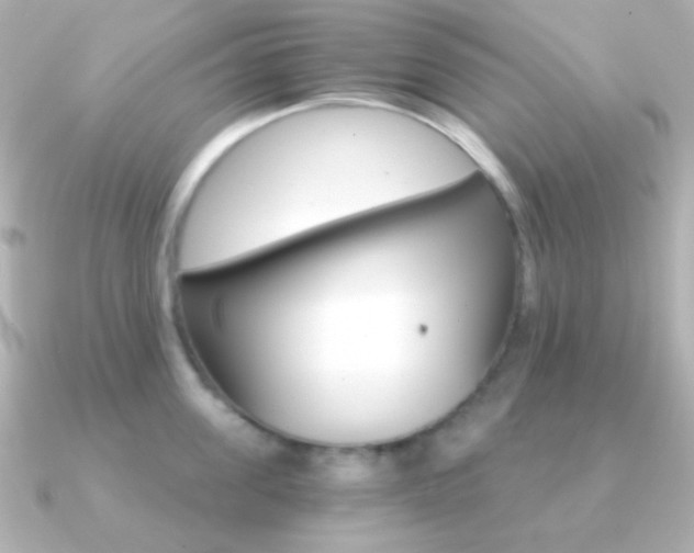 X0000091200955200708091037