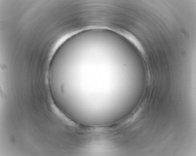 X0000091200958200708091038