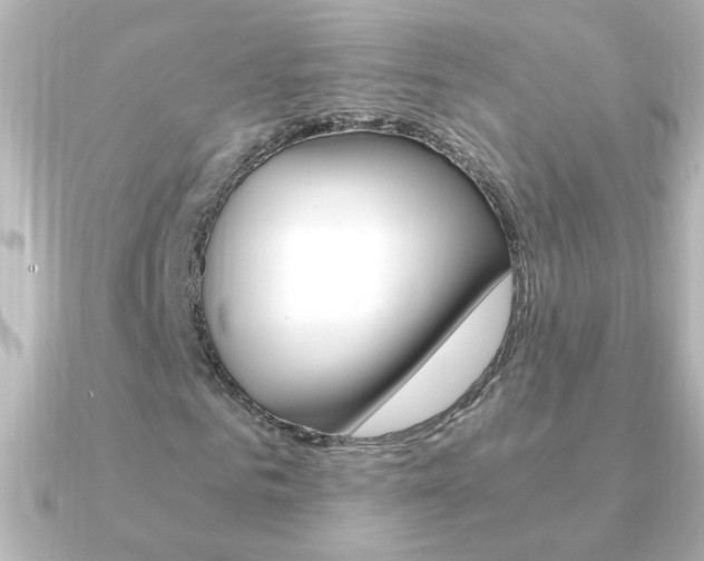 X0000091200961200708091037