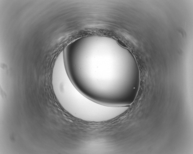 X0000091200965200708091037