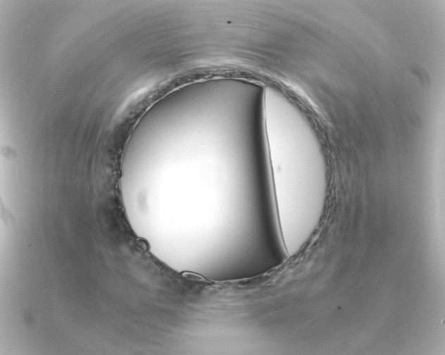 X0000091200967200708091037