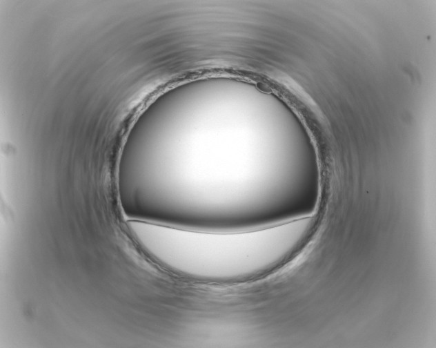 X0000091200969200708091037