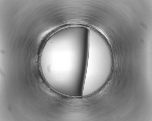 X0000091200971200708091037